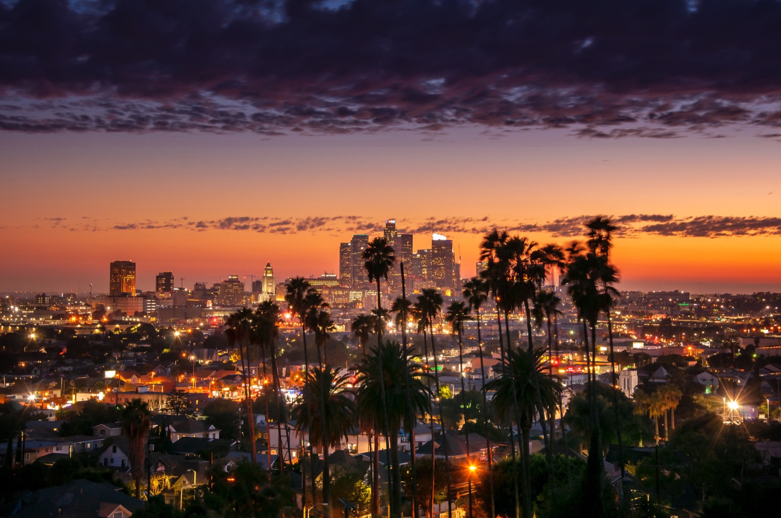 The downtown Los Angeles skyline at sunset, palms in the foreground